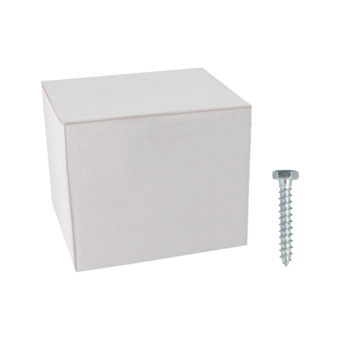 50 Tirefonds - M8 x 50 mm